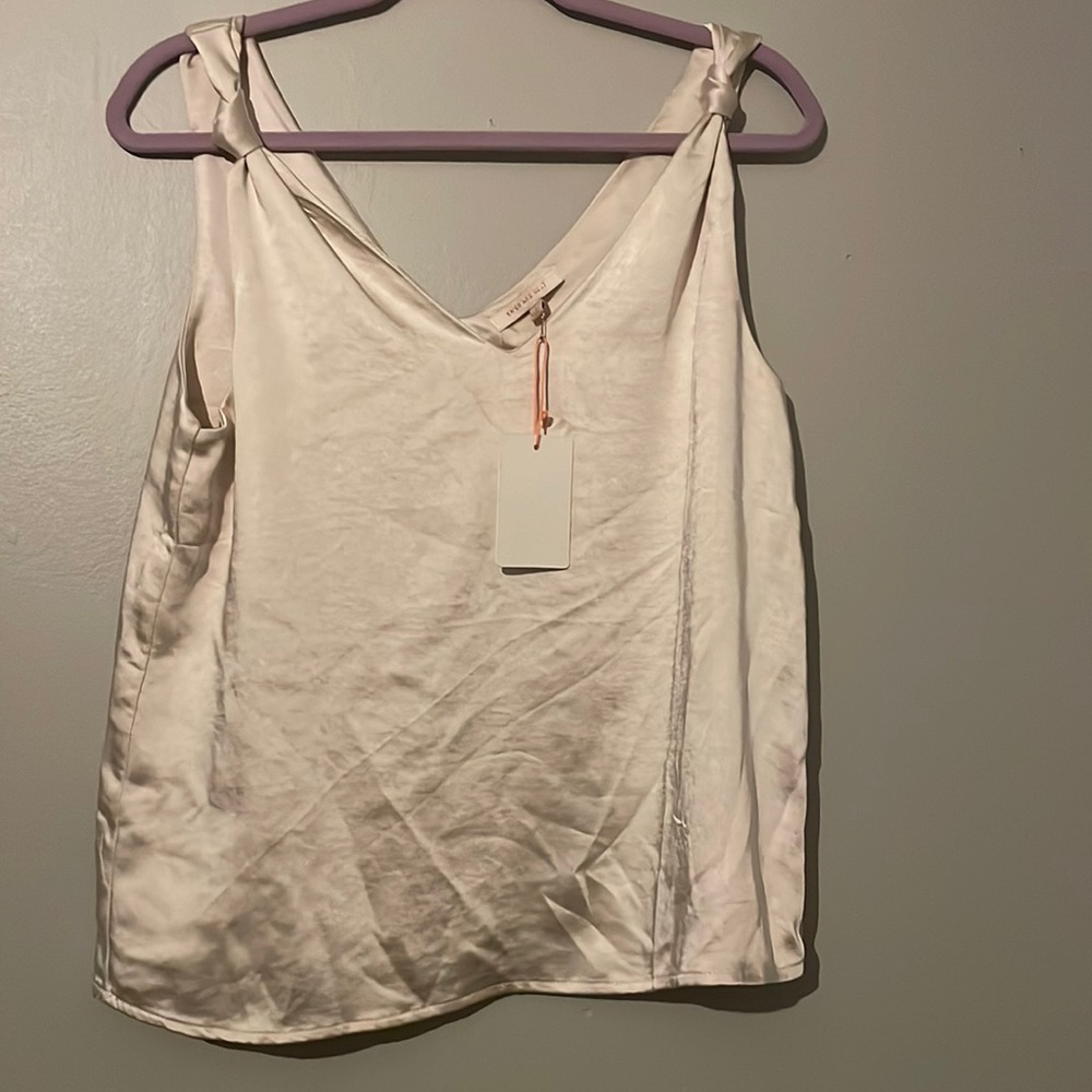 Skies are blue blouse NWT size S
